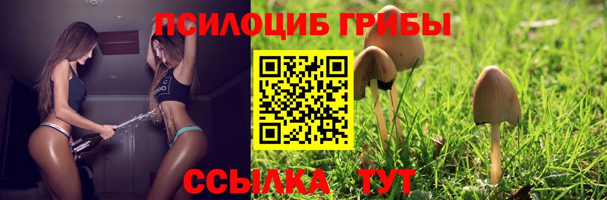 Тобольск  продажа наркотиков  Вход с VPN  Галлюциногенные грибы ЛСД 